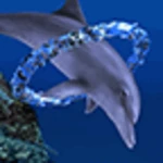 dolphin ring trial android application logo